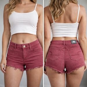 American Eagle Outfitters High Waist Burgundy Shorts